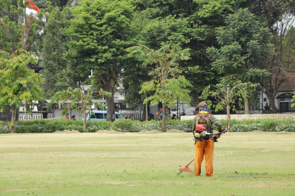 Jasa Potong Rumput Daerah Canggu – Panggilan Cepat Jasa Potong Rumput Daerah Canggu – Panggilan Cepat