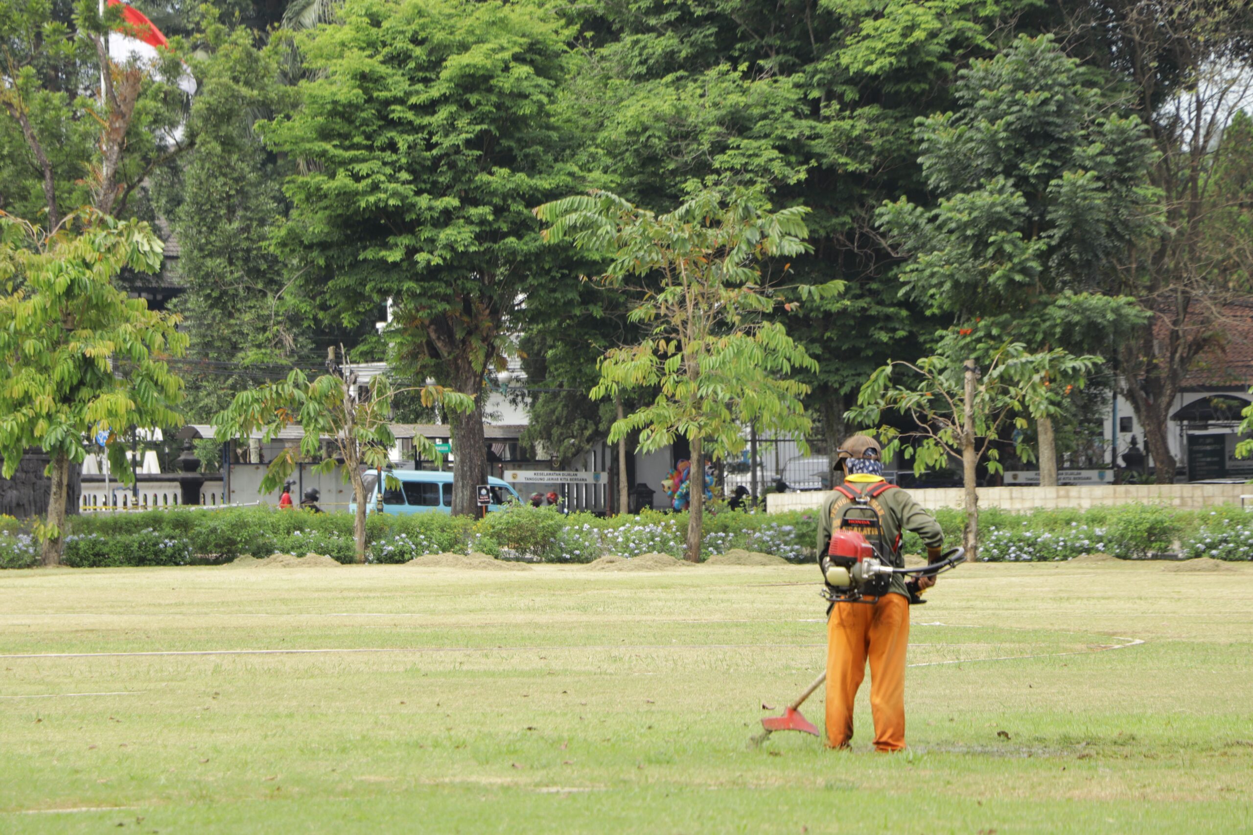 Jasa Potong Rumput Daerah Canggu – Panggilan Cepat